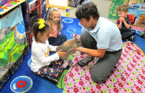 Benjamin the rabbit steals the show in lesson about mammals
