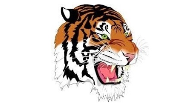 Our Tyger Divers are at it again!