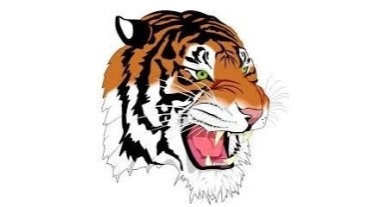 Middle School Honor Roll