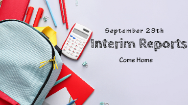 Interim Reports
