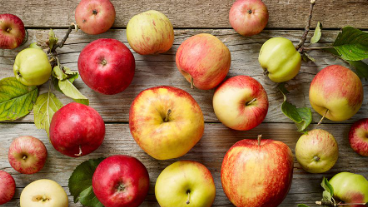 Apple season experiment in Mrs. Sheldon's class
